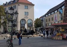 Ludwigs...