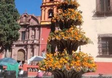 San Miguel de Allende