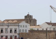 Faro City Hall