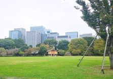 Kokyo Gaien N...