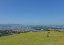 Mount Wakakusa