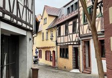 Dalberg...