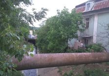 Topcide...