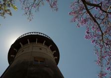 The Old Windmill