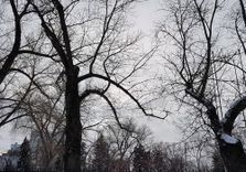 9 Avenue Southeast
