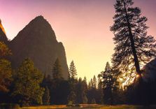 El Capitan Meadow