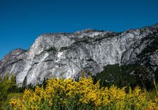 Yosemite Village