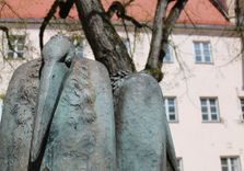 Hohe Schule