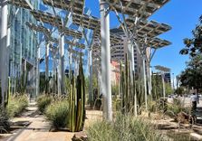 Las Vegas City Hall