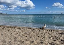 Playa de la Mala...