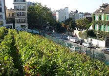 La Vigne de Mont...