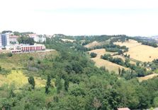 Urbino