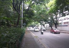 Raj Bhavan Road