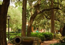 Savannah City Hall