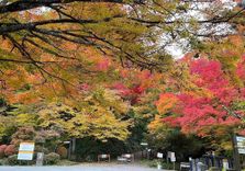 Shiroyama Park