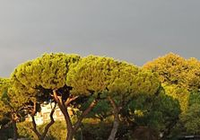 Arco di Augusto
