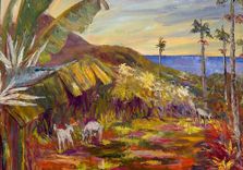 Gallery of Caribbe...