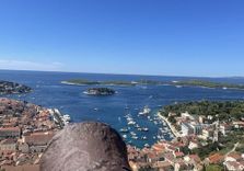 Fortica Fortress