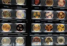 Micropia