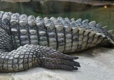 Rotterdam Zoo