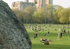 Sheep Meadow