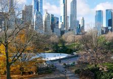 Wollman Rink