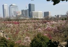 Osaka Castle’...