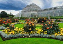 Royal Botanic...