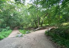 Dumbarton Oaks Park