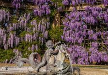 The Gardens...