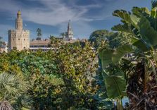 Torre del Oro
