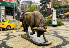 Kadıköy Bull St...