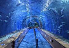 Oceanog...
