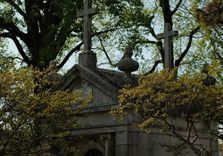 Oak Hill Cemetery