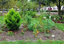 Parque de La Glor...