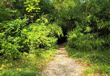 Kutaisi Botanic...
