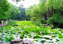 People's Park