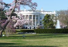 The White House