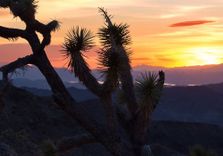 Lake Mead Nationa...