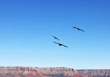 Eagle Point