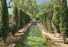 L'Hort del Rei