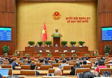 Viet Nam Nationa...