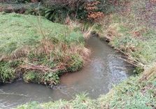 Plantin Park