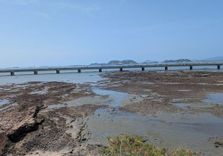 Panama Canal M...