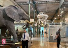 Museo Naciona...