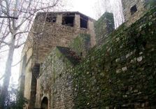 Walls of Florence