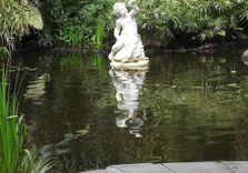 Boy On The Turtle