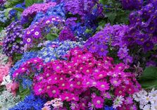 Old Bandstand