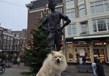 Amsterd...