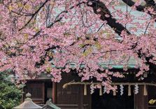 Ueno Park